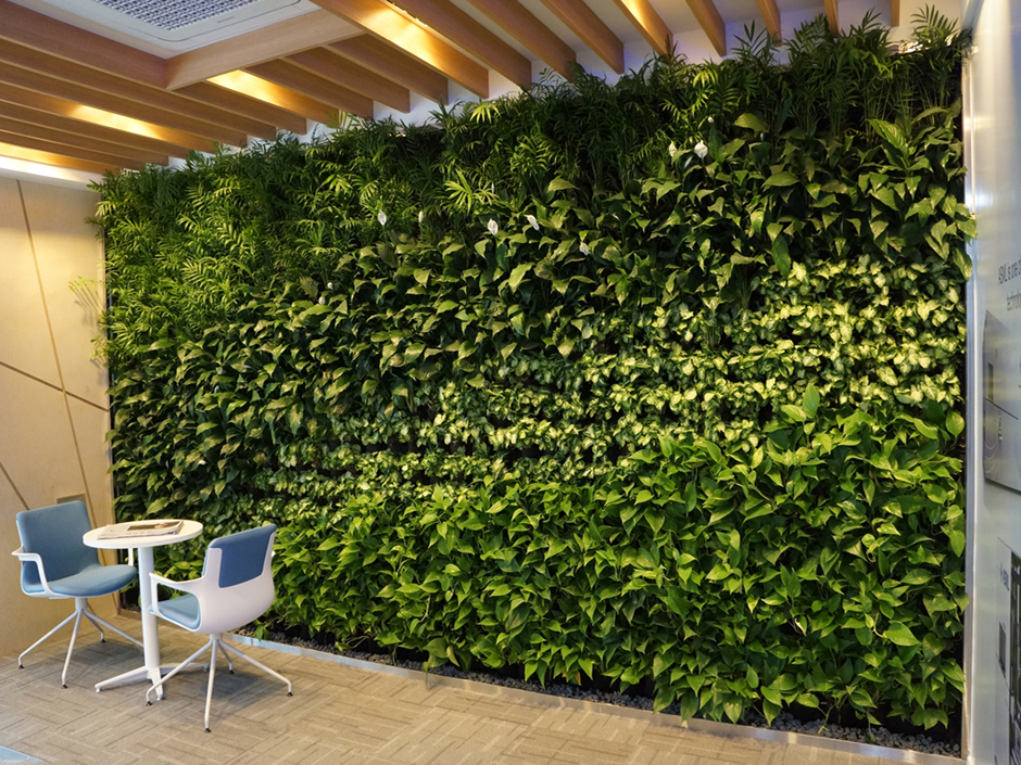 Muros verdes interiores
